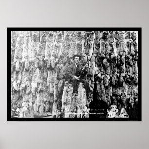 Coyote Hunter Amid Over 60 Pelts 1913 Poster