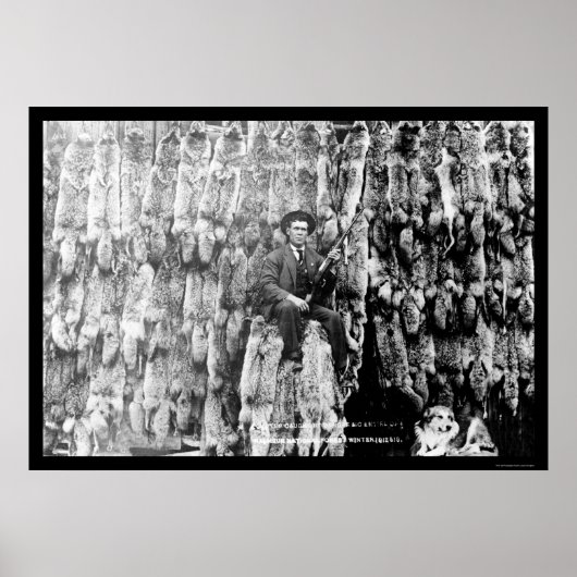 Coyote Hunter Amid Over 60 Pelts 1913 Poster (Voorkant)