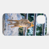 Coyote Hunting in Snow on Ranch - Wildlife Foto Case-Mate iPhone Case (Achterkant (horizontaal))