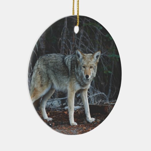 Coyote Hunting Keramisch Ornament (Rechts)