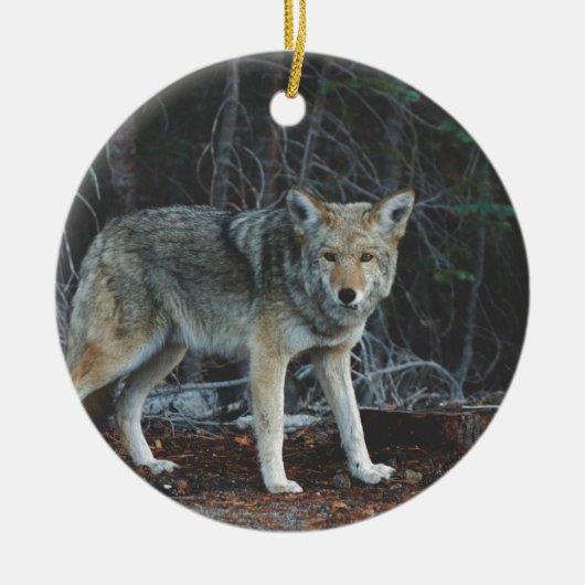 Coyote Hunting Keramisch Ornament (Voorkant)