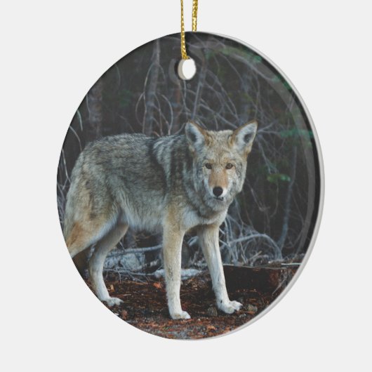 Coyote Hunting Keramisch Ornament (Links)