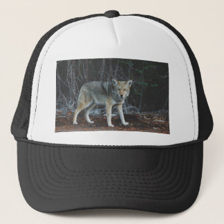 Coyote Hunting Trucker Pet