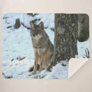 COYOTE in het WILD Sherpa Deken