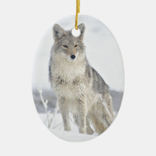 Coyote in sneeuw bij Yellowstone Keramisch Ornament