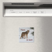 Coyote in Sneeuwmagneet Magneet (Insitu (Vaatwasser))