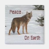 Coyote in Sneeuwmagneet Magneet (Voorkant)