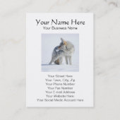 Coyote in Snow Wildlife Guide, Ecoloog Visitekaartje (Achterkant)