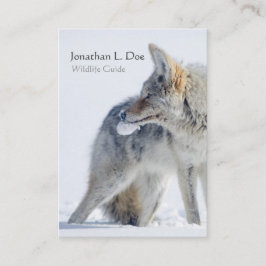 Coyote in Snow Wildlife Guide, Ecoloog Visitekaartje