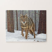 "Coyote in the Pines" Puzzle Legpuzzel (Horizontaal)