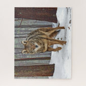 "Coyote in the Pines" puzzle Legpuzzel (Verticaal)