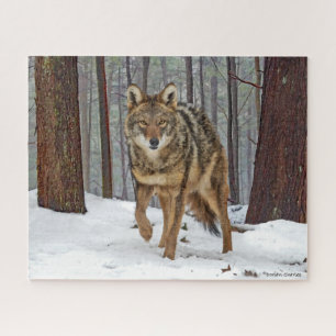"Coyote in the Pines" puzzle Legpuzzel