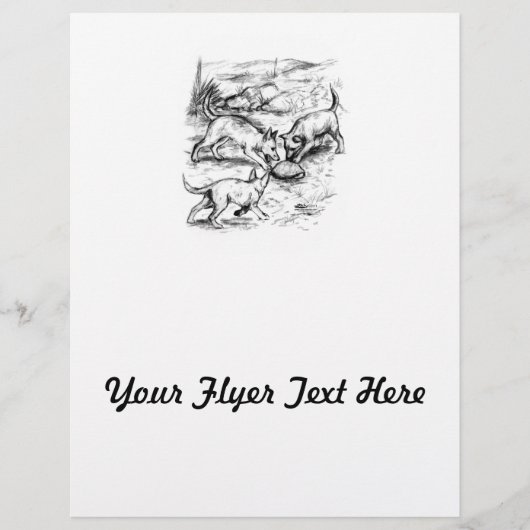 Coyote-jongen Flyer (Voorkant)