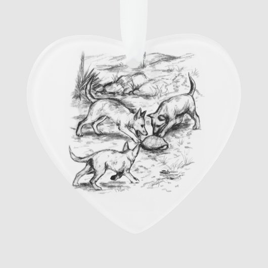 Coyote-jongen Ornament (voorkant)