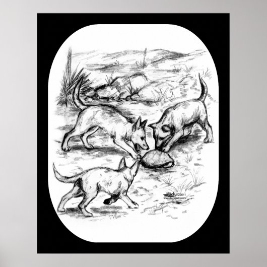 Coyote-jongen Poster (Voorkant)