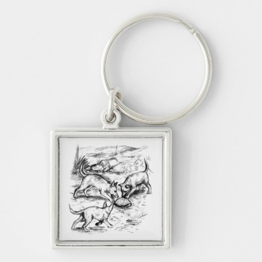 Coyote-jongen Sleutelhanger (Voorkant)