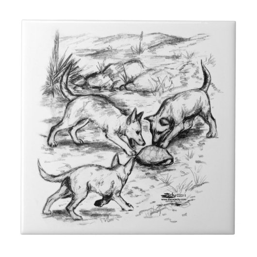 Coyote-jongen Tegeltje (Voorkant)