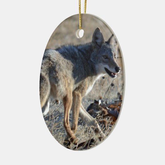 Coyote Keramisch Ornament (Links)