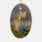 coyote keramisch ornament (Links)