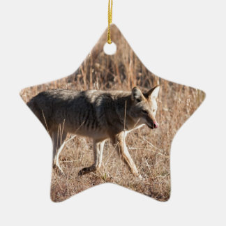 Coyote Keramisch Ornament