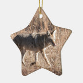 Coyote Keramisch Ornament (Links)
