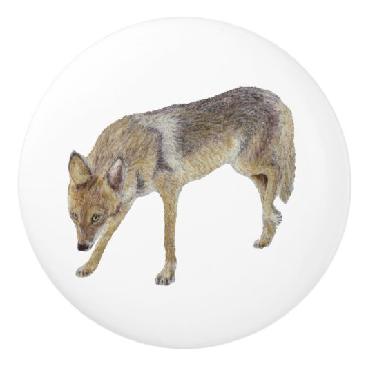 Coyote Keramische Knop (Voorkant)