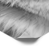 Coyote Kop Portret  Zwart wit Poster (Hoek)