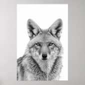 Coyote Kop Portret  Zwart wit Poster (Voorkant)