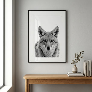 Coyote kopportret kunst zwart wit  poster