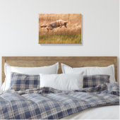 Coyote Leaping - Gibbon Meadows Canvas Afdruk (Insitu (Slaapkamer))