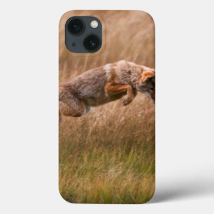 Coyote Leaping - Gibbon Meadows iPhone 13 Hoesje