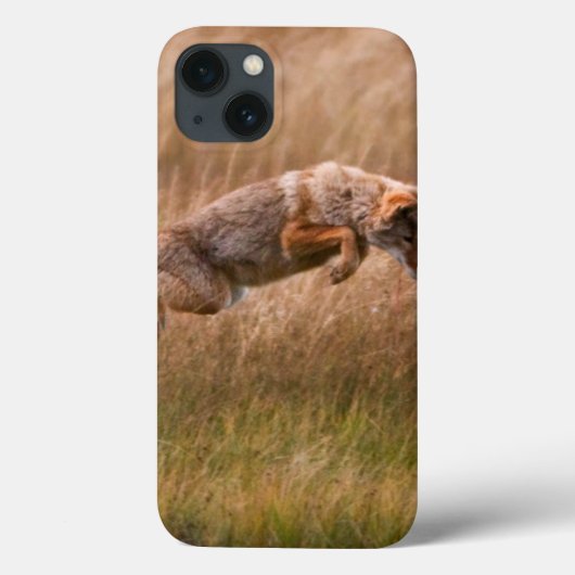 Coyote Leaping - Gibbon Meadows Case-Mate iPhone Case (Achterkant)