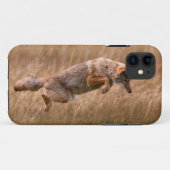 Coyote Leaping - Gibbon Meadows Case-Mate iPhone Case (Achterkant (horizontaal))