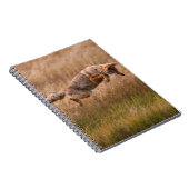 Coyote Leaping - Gibbon Meadows Notitieboek (Rechterzijde)