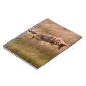 Coyote Leaping - Gibbon Meadows Notitieboek (Linkerzijde)