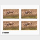 Coyote Leaping - Gibbon Meadows Rechthoekige Sticker (Vel)