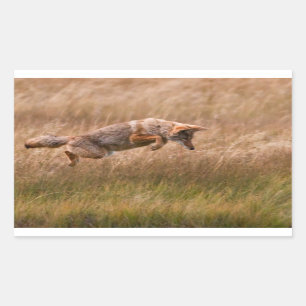 Coyote Leaping - Gibbon Meadows Rechthoekige Sticker