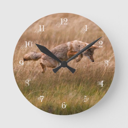 Coyote Leaping - Gibbon Meadows Ronde Klok (Voorkant)