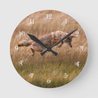Coyote Leaping - Gibbon Meadows Ronde Klok