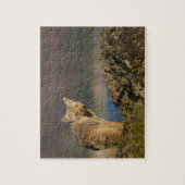 coyote legpuzzel (Verticaal)