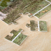 Coyote  legpuzzel (Zijkant)