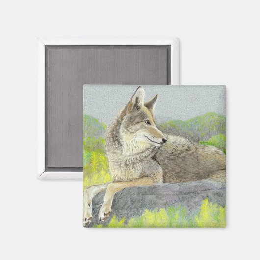 Coyote Magnet (Voorkant / Achterkant)