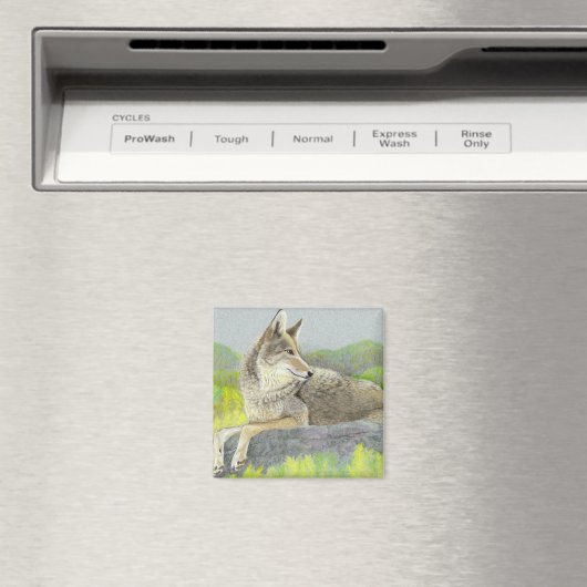 Coyote Magnet (Insitu (Vaatwasser))