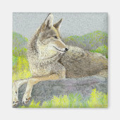 Coyote Magnet (Voorkant)