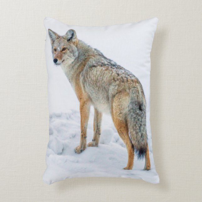 Coyote met waarschuwing op sneeuw decoratief kussen (Voorkant(Verticaal))