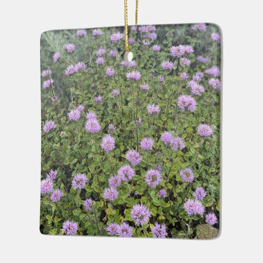 Coyote Mint Keramisch Ornament (Links)