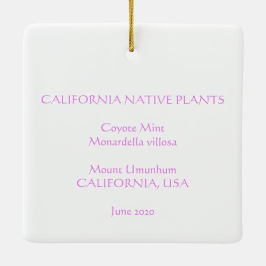 Coyote Mint Keramisch Ornament (Achterkant)