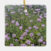 Coyote Mint Keramisch Ornament (Voorkant)