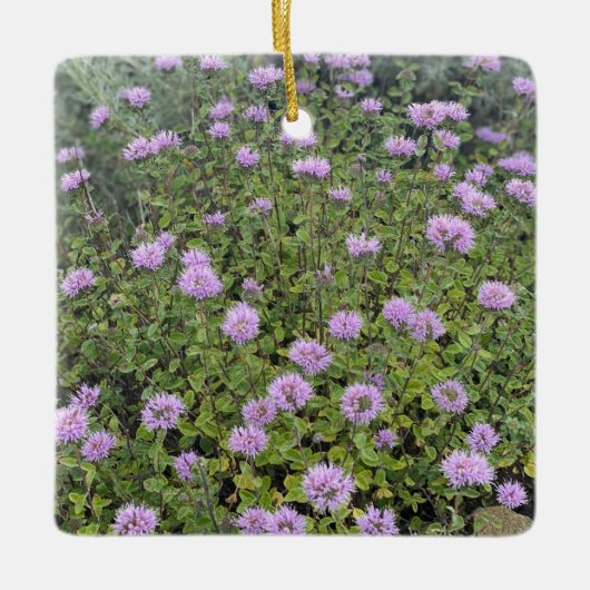 Coyote Mint Keramisch Ornament (Voorkant)