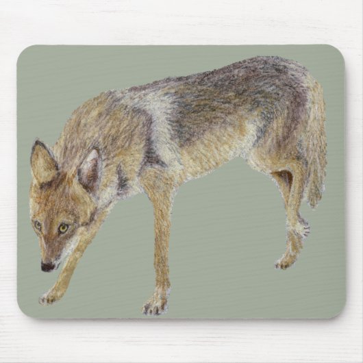 Coyote Muismat (Voorkant)